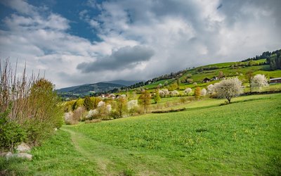 Green hill with blooming trees and cloudy sky